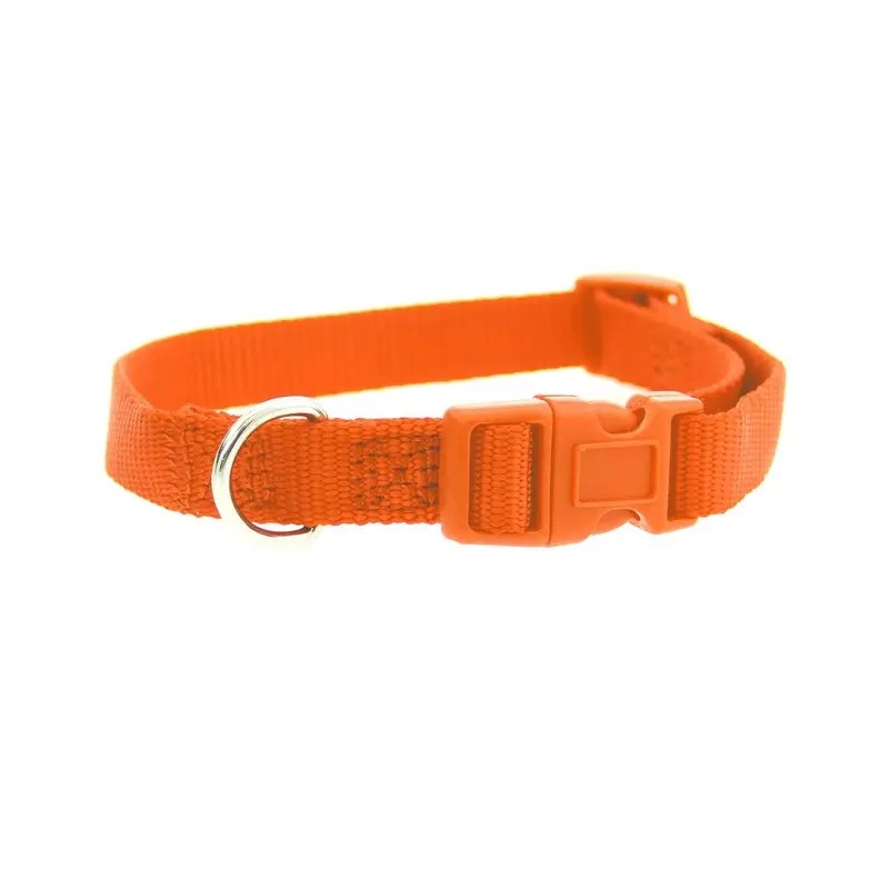 Casual Canine Nylon Dog Collar - Orange 6-10" Length x 3/8" Width