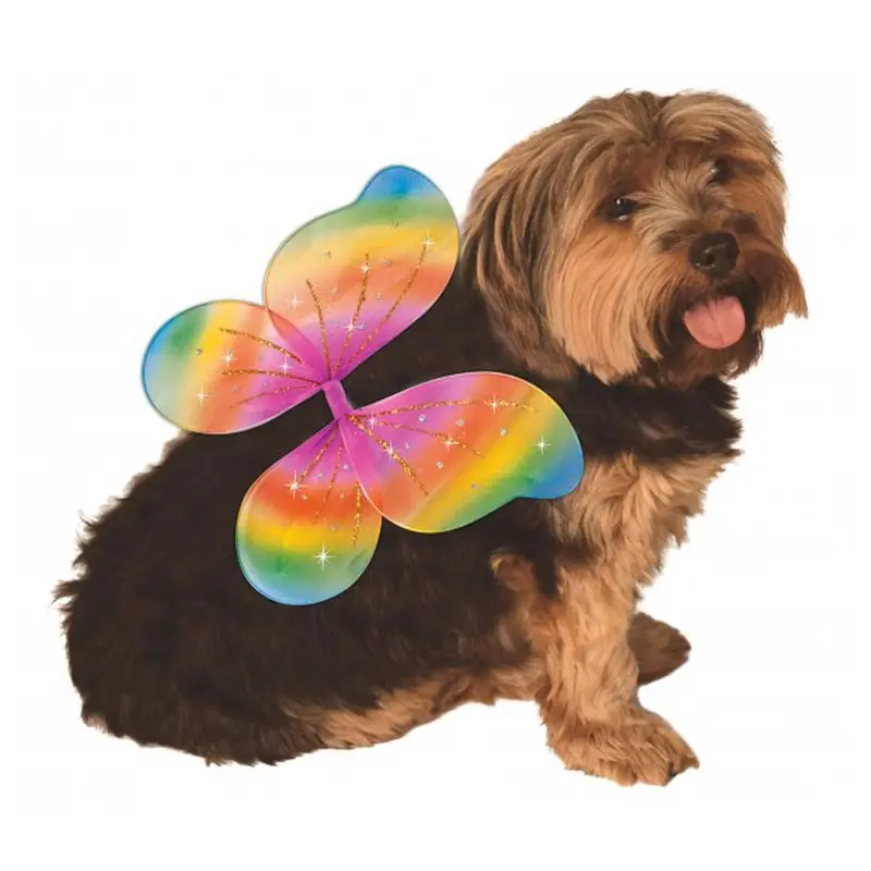 Fairy Wings Dog Costume - Rainbow Small/Medium