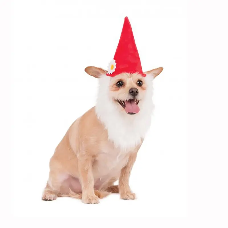 Garden Gnome Dog Hat With Beard Small/Medium - Out of Stock!
