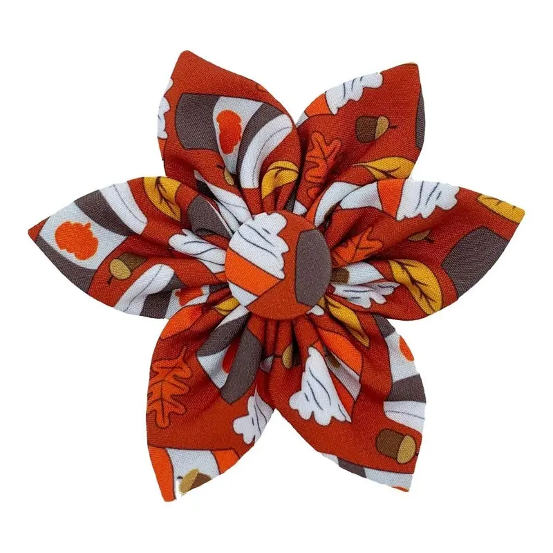 Huxley & Kent Halloween Pinwheel Dog and Cat Collar Attachment - Pupkin Spice  Large - 3.5"