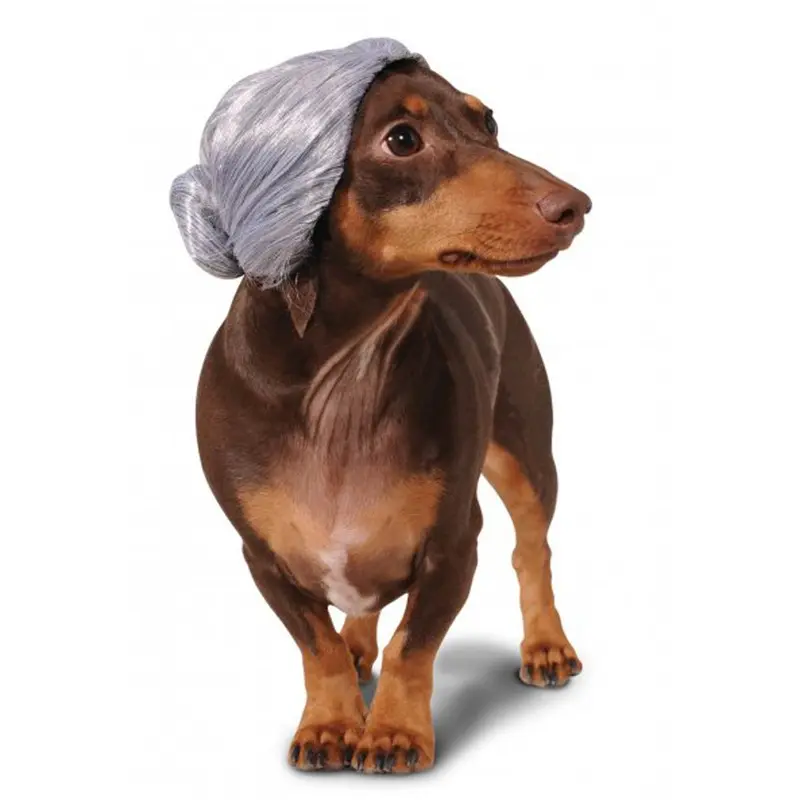 Old Lady Wig Dog Costume Small/Medium - Out of Stock!