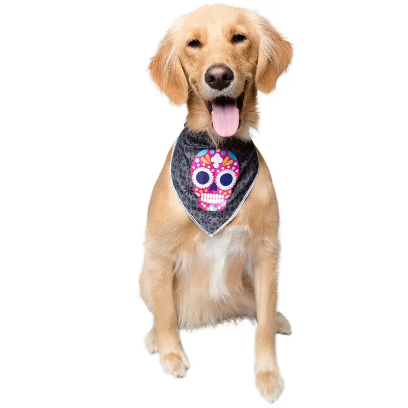Pet Krewe Glow-in-the-Dark Dog Bandana - Skull One Size - Out of Stock!