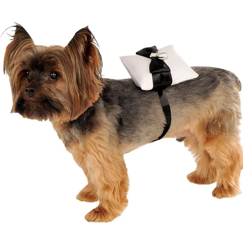 Ring Bearer Dog Pillow One Size - Out of Stock!