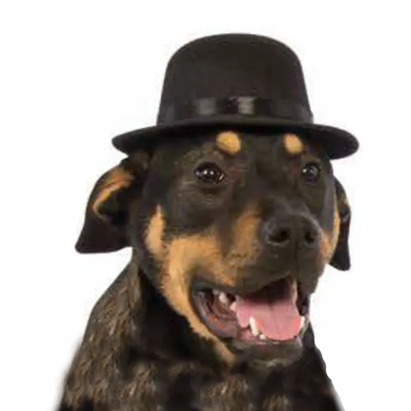 Rubie's Top Hat Dog Costume - Black Small/Medium - Out of Stock!