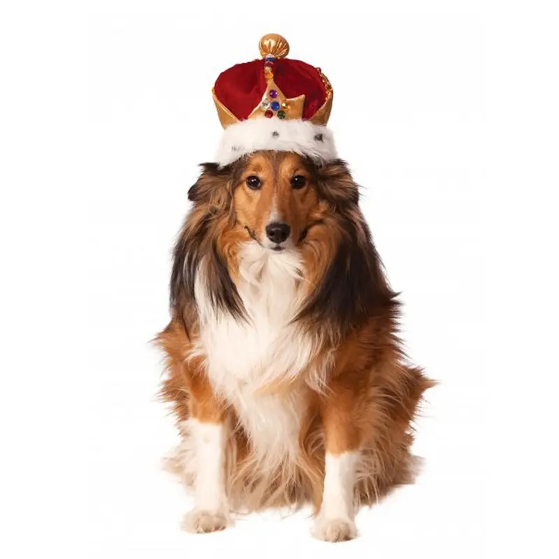 Rubies King's Crown Dog Hat - Red Small/Medium - Out of Stock!