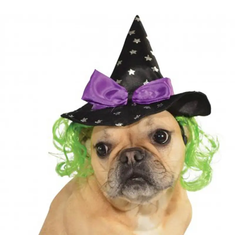 Star Witch Dog Hat Small/Medium - Out of Stock!