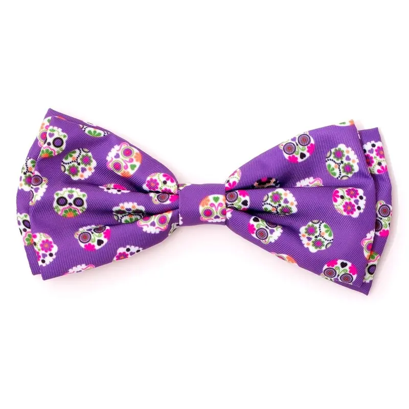 Worthy Dog Halloween Dog and Cat Bow Tie Collar Attachment - Skeletons Purple Small