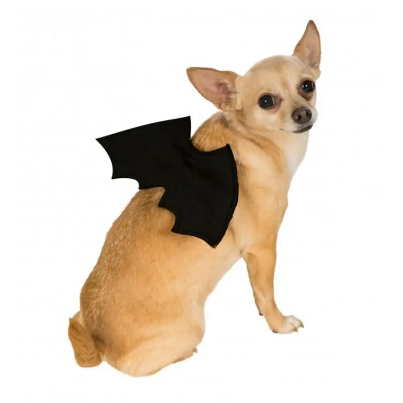 Bat Wings Dog Costume - Black Small/Medium