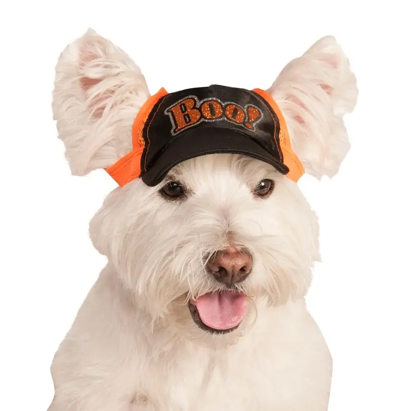 Boo Halloween Baseball Dog Cap Medium/Large