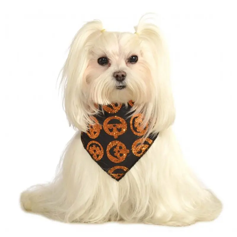 Glitter Pumpkin Dog Bandana Small/Medium