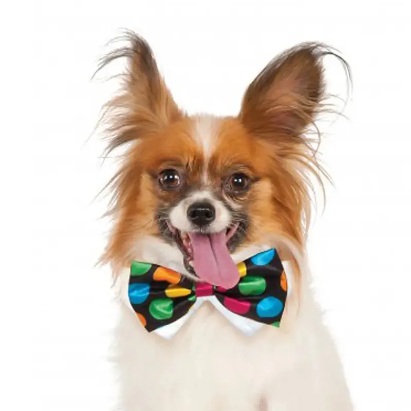 Rubie's Polka Dot Dog Bow Tie Medium/Large
