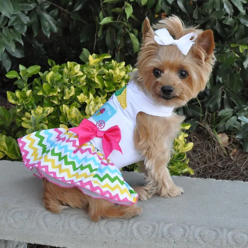 Ice Cream Cart Dress with Matching Leash by Doggie Design X-Small