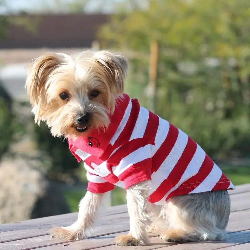 Striped Dog Polo by Doggie Design - Flame Scarlet Red and White X-Small - Out of Stock!