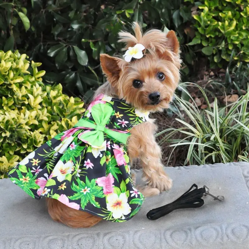 Twilight Black Hawaiian Hibiscus Dog Dress with Leash by Doggie Design X-Small
