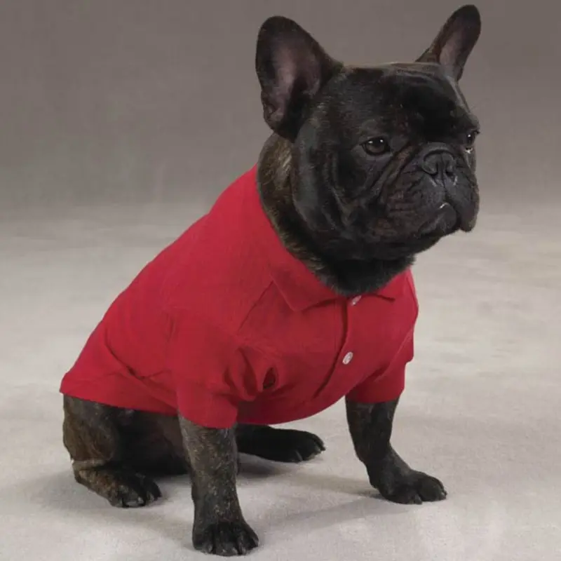Zack & Zoey Polo Dog Shirt - Tomato Red X-Large