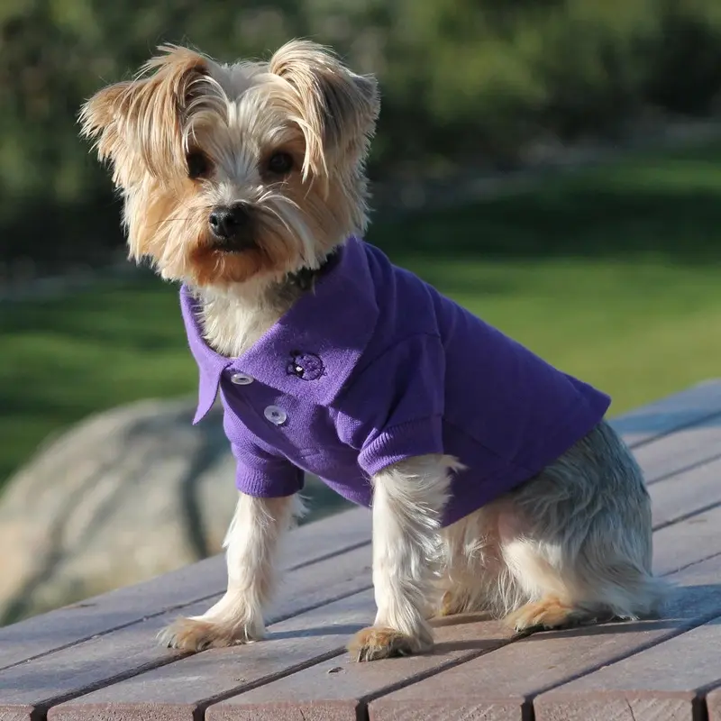 Solid Dog Polo by Doggie Design - Ultra Violet X-Small