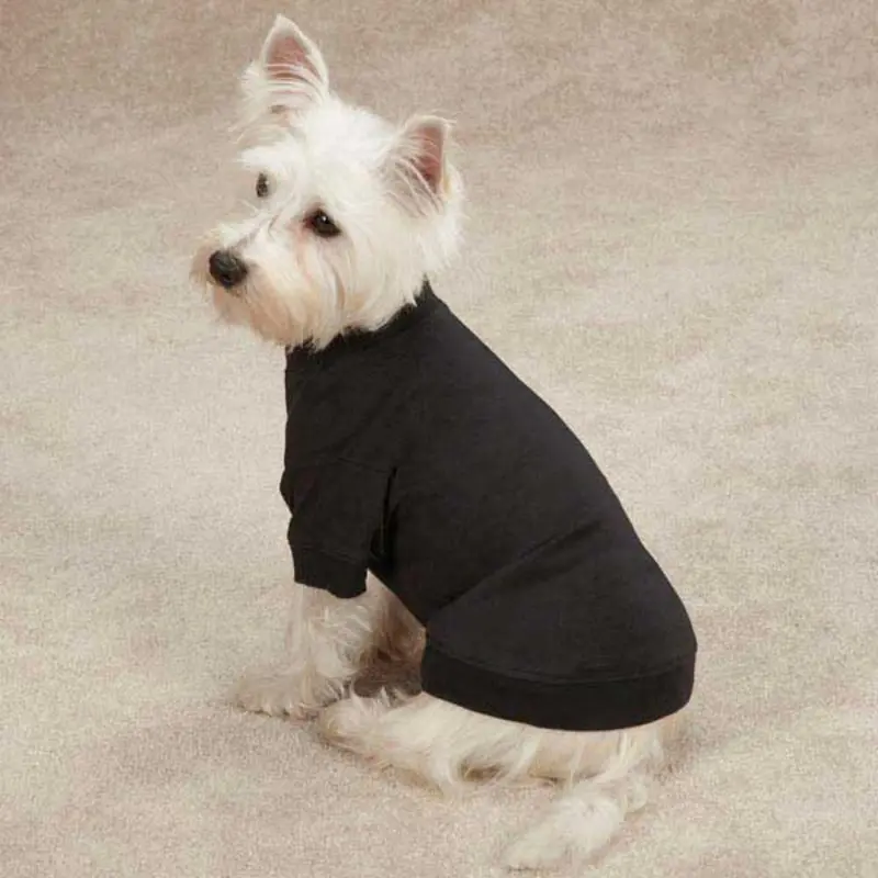 Zack & Zoey Basic Dog T-Shirt - Black X-Small