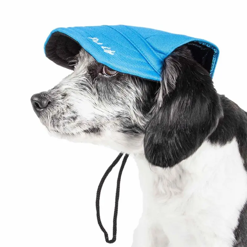 Pet Life Cap-tivating UV Protectant Dog Hat Cap - Blue Medium