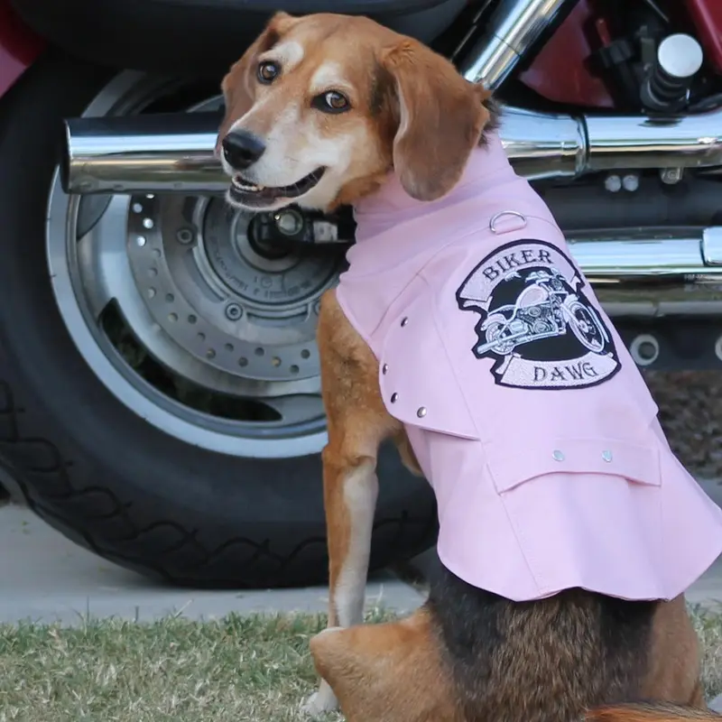 Biker Dawg Motorcycle Dog Jacket by Doggie Design - Pink X-Small