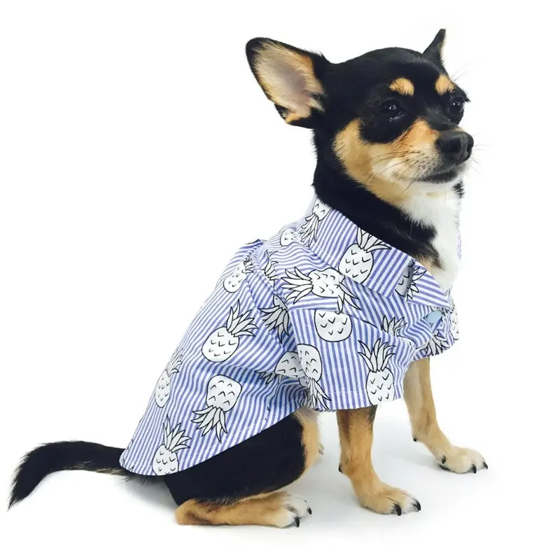 Pineapple Island Dog Shirt by Dogo - Light Blue 2X-Large