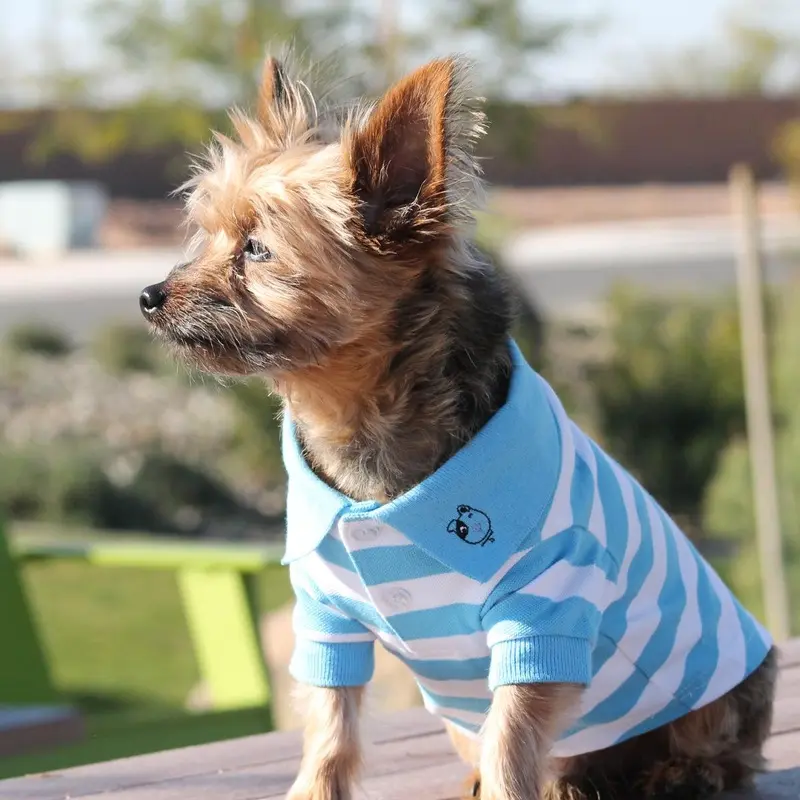 Striped Dog Polo by Doggie Design - Blue Niagara and White X-Small - Out of Stock!
