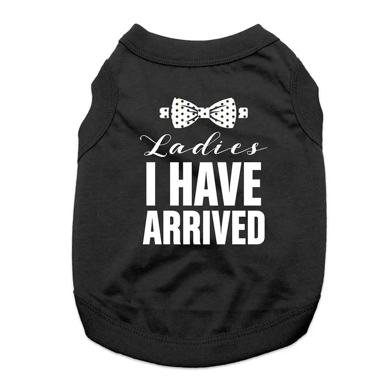 Ladies, I Have Arrived Dog Shirt - Black X-Small