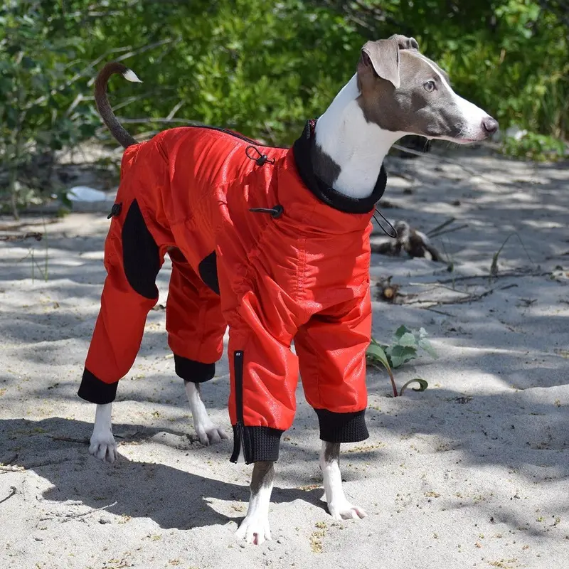 Zippy Dynamics Classy Full-Body Dog Suit Size 10S - Free Shipping!