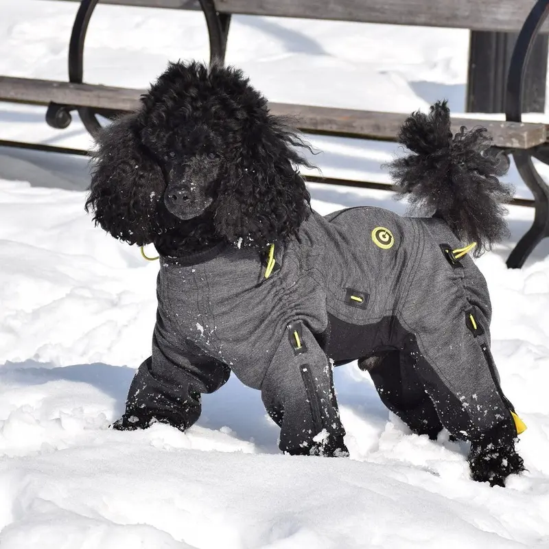 Zippy Dynamics Cozy Full-Body Dog Suit Size 11S - Free Shipping!