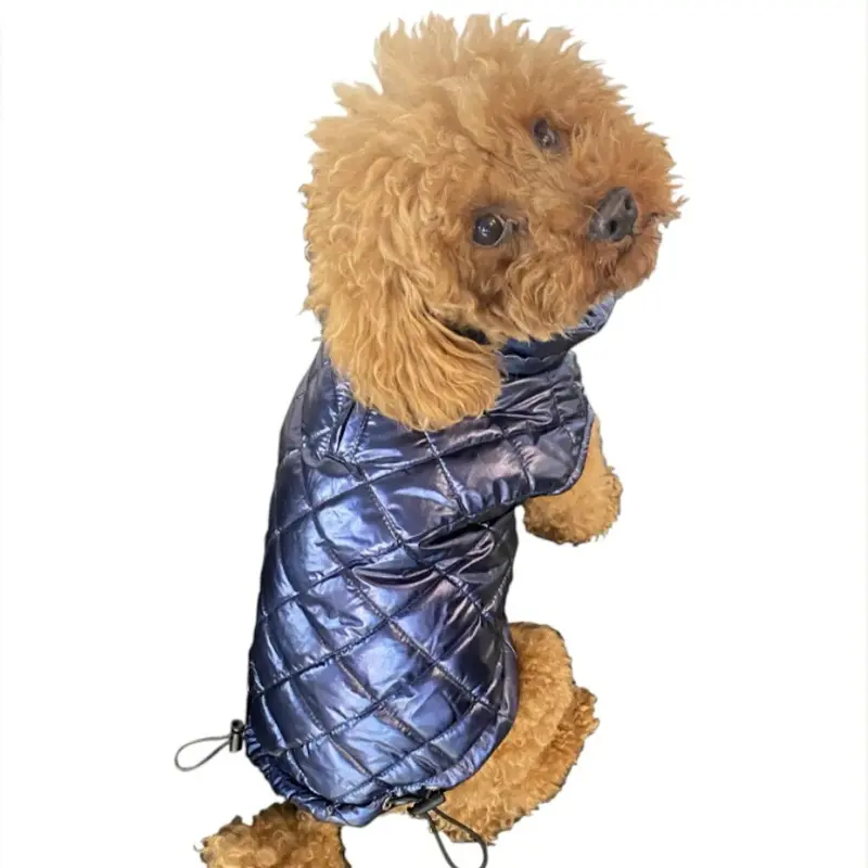 The Dog Squad Mercedes Metallic Dog Coat - Navy Blue XX-Small - Free Shipping!