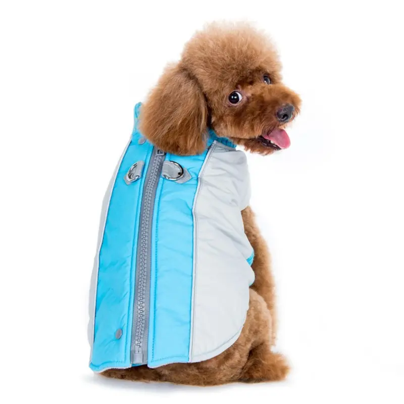 Mountain Hiker Dog Coat by Dogo - Blue 3X-Large - Free Shipping!
