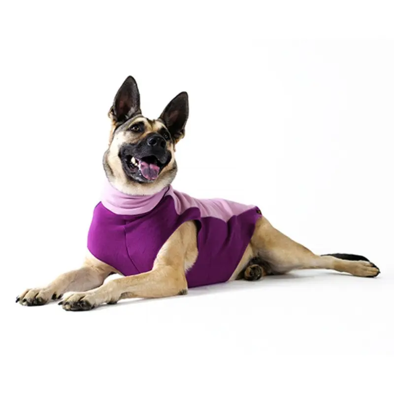 Gold Paw Portland Pullover Dog Jacket - Lilac and Eggplant Size 6