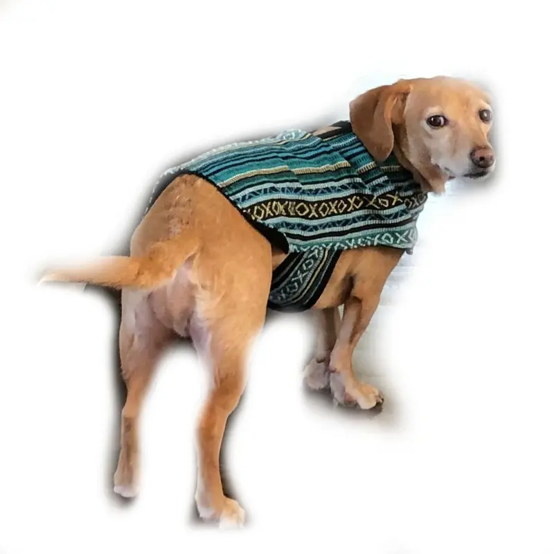 Walking Palm Dog Poncho - Peacock Blue Small