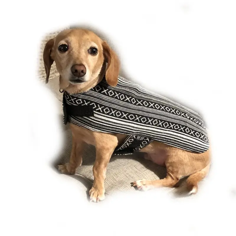 Walking Palm Dog Poncho - Salt and Pepper Small