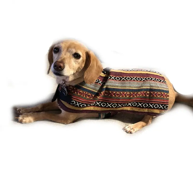Walking Palm Dog Poncho - Sonora Small