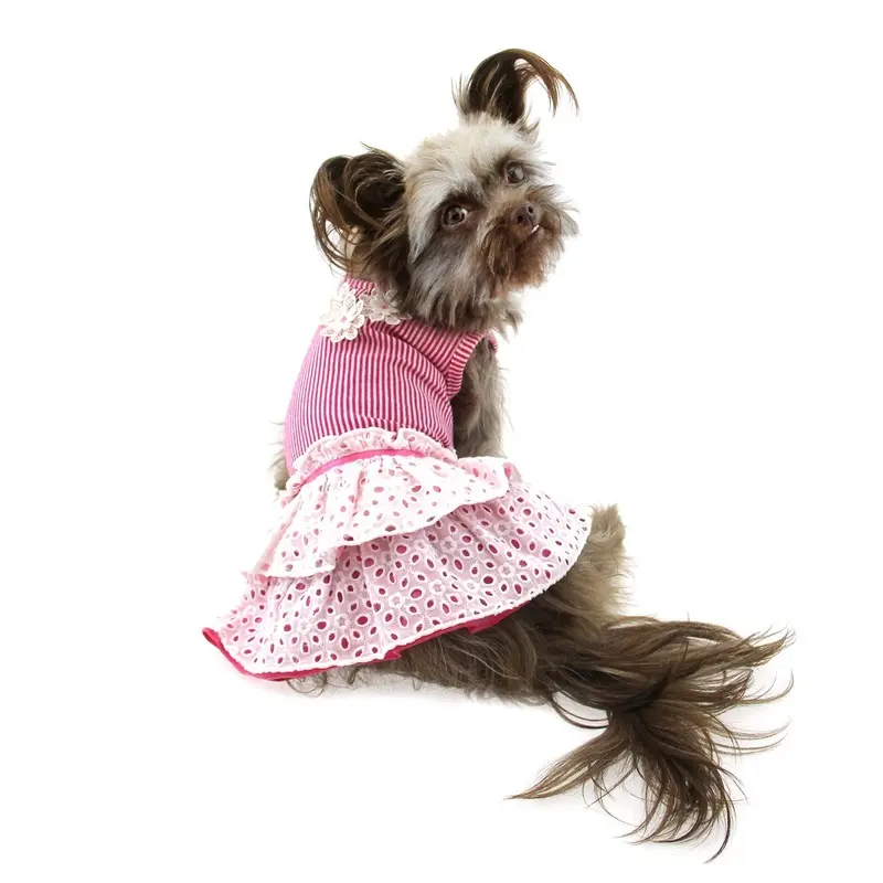 Eyelet Flower Dog Dress by Dogo X-Small