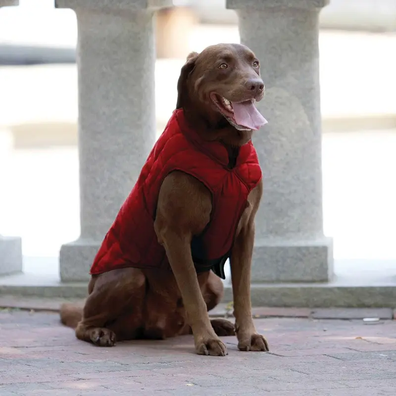 Kurgo Loft Reversible Dog Jacket - Chili Red and Dark Charcoal X-Small