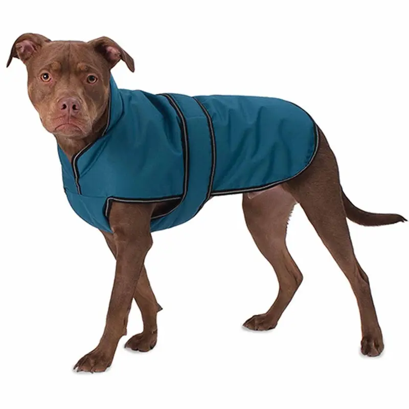 Juneau Dog Coat - Teal Medium - Out of Stock!