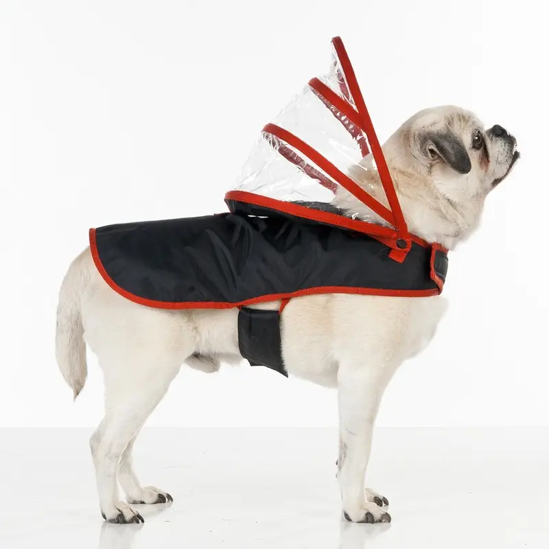 Push Pushi Rainbow Line Dog Raincoat - Black with Red Trim Teacup