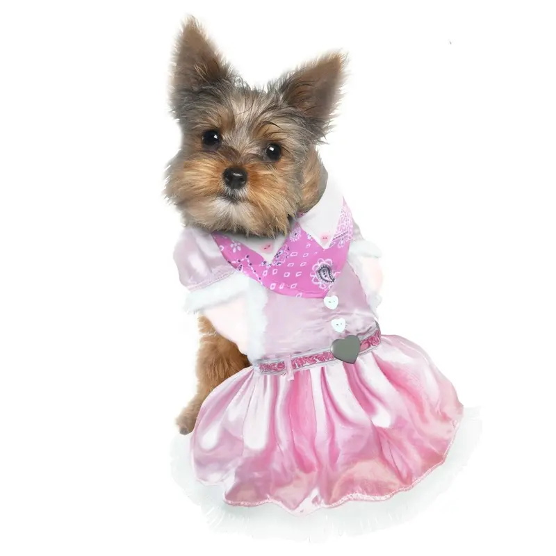 Puppe Love Cowgirl Dog Costume Size 4