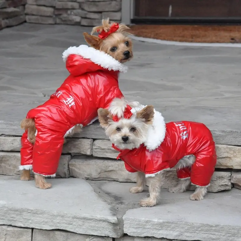 Ruffin It Snowsuit by Doggie Design - Red X-Small
