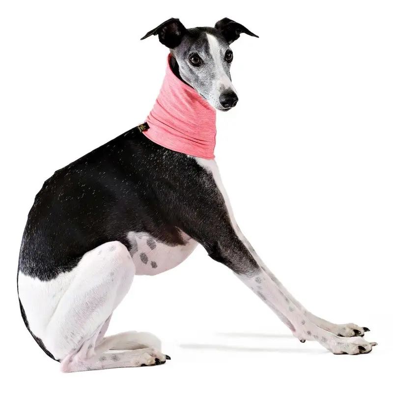 Gold Paw Sun Shield Dog Snood - Coral Pink Small