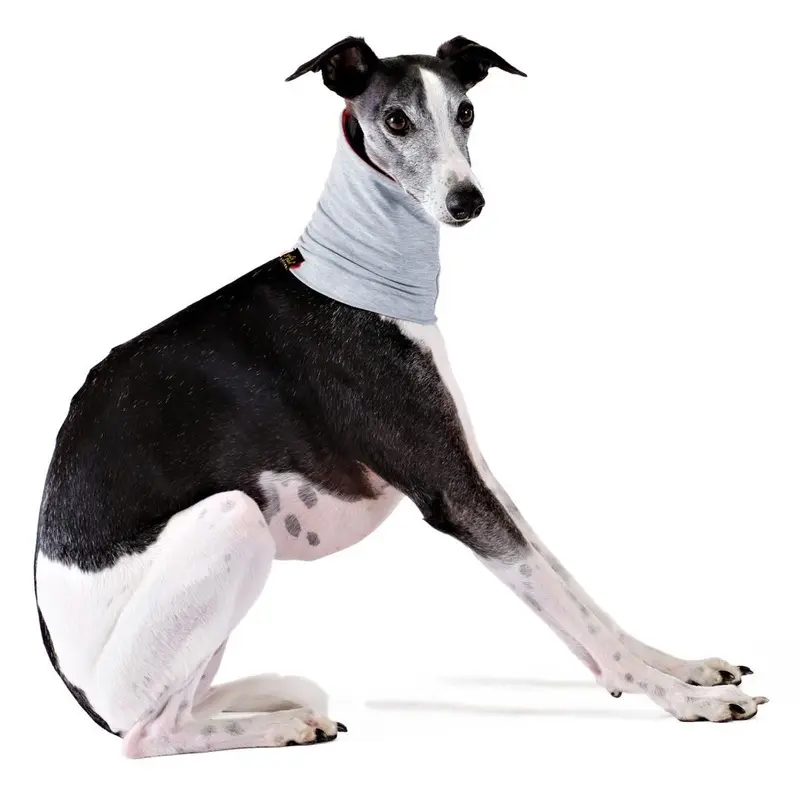 Gold Paw Sun Shield Dog Snood - Pebble X-Small - Coming Soon!