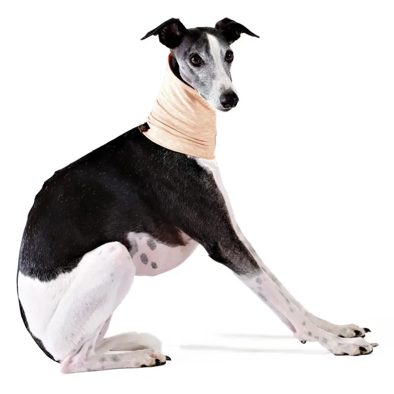 Gold Paw Sun Shield Dog Snood - Sand X-Large
