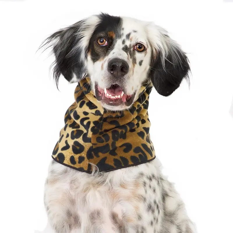 Gold Paw Dog Snood - Leopard X-Small - Coming Soon!