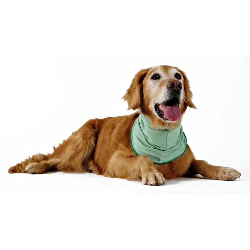 Gold Paw Sun Shield Dog Snood - Pistachio X-Small - Coming Soon!