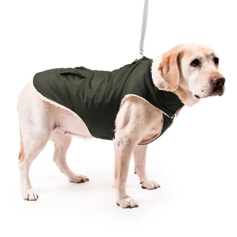 My Canine Kids Aspen Dog Parka - Charcoal  XX-Small
