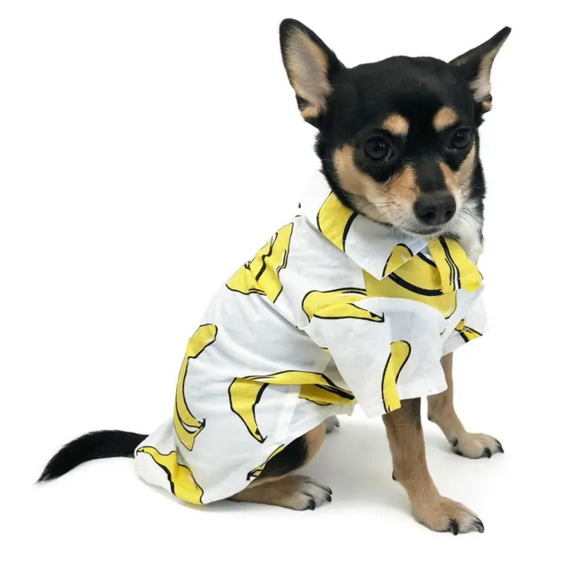 Banana Collared Dog Shirt by Dogo X-Small - Out of Stock!
