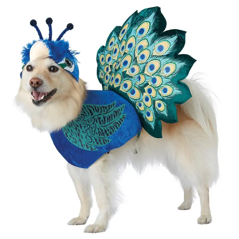 Pretty as a Peacock Dog Costume X-Small