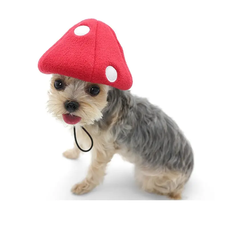 Dogo Mushroom Dog Hat - Red X-Small