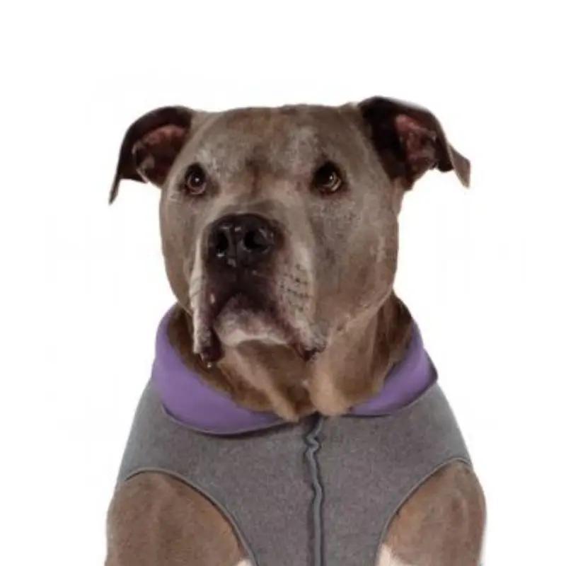 Gold Paw Reversible Double Fleece Dog Jacket - Charcoal/Lavender Size 6